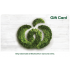 Woolworths eGift Card - $100