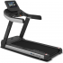 Lifespan Fitness Marathon Commercial Treadmill